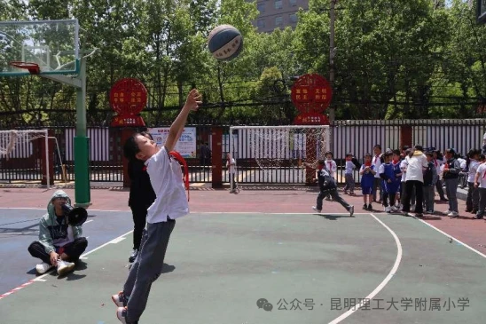 哪里能找到分卫的技术分析视频_0